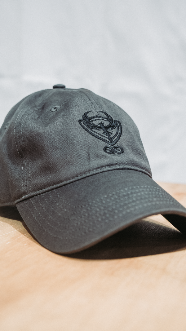 Logo Cap - Grey