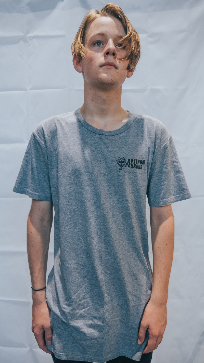 Logo T-Shirt - Grey